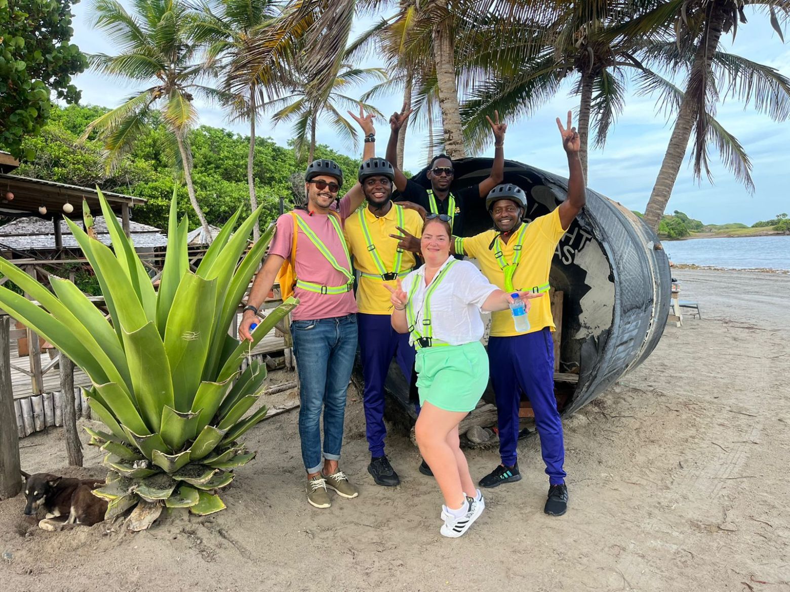 a group of people standing next to a palm tree
